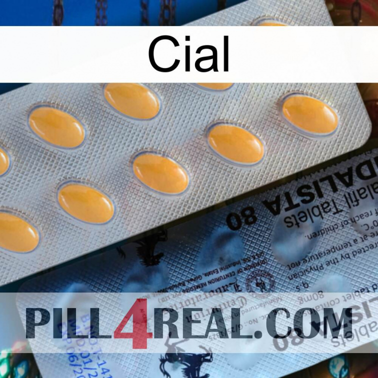 Cial 44